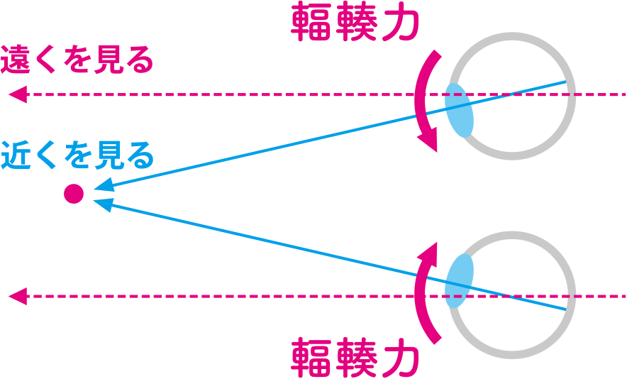 視力の見え方の図