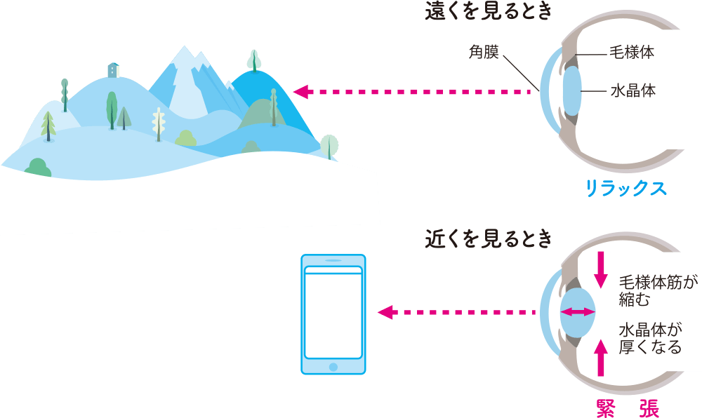 視力の見え方の図